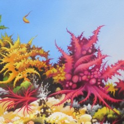 DEEP REEF 3